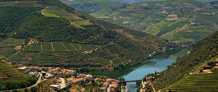 Oporto