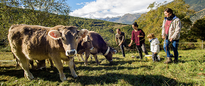Descubre Cataluña en cualquier época del año