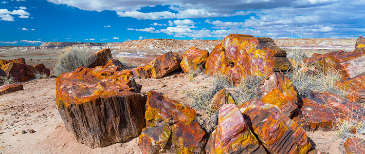 Arizona, Estados Unidos