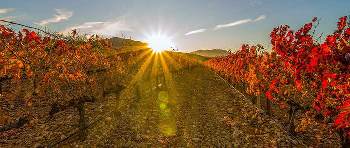 La Rioja