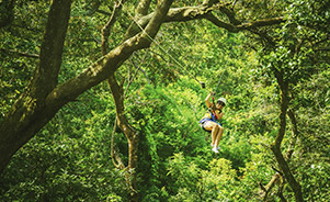 Reserva de Monteverde, Costa Rica