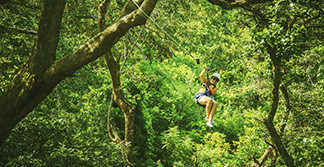 Reserva de Monteverde, Costa Rica