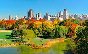 EEUU. New York