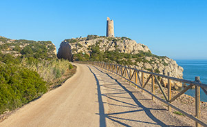 Camino verde de Benicàssim