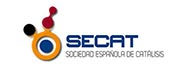 sociedad española de catalisis