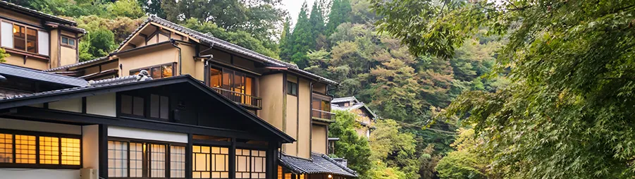 Descubre Japón