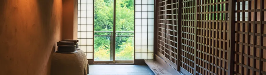 Descubre Japón