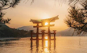Descubre Japón