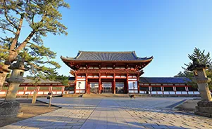 Descubre Japón