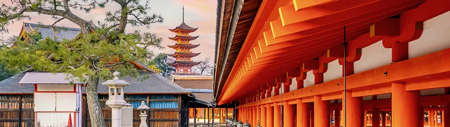 Descubre Japón