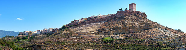 Aledo