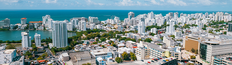 Vive Boricua