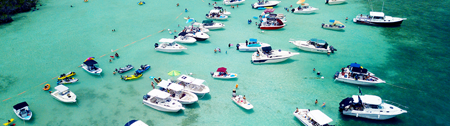 Vive Boricua