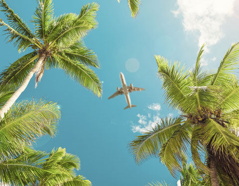 reserva tu vuelo