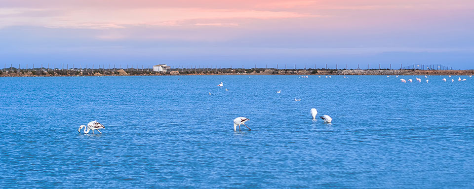 Parque regional de Las Salinas