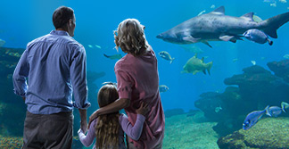 Familia disfrutando en el acuario