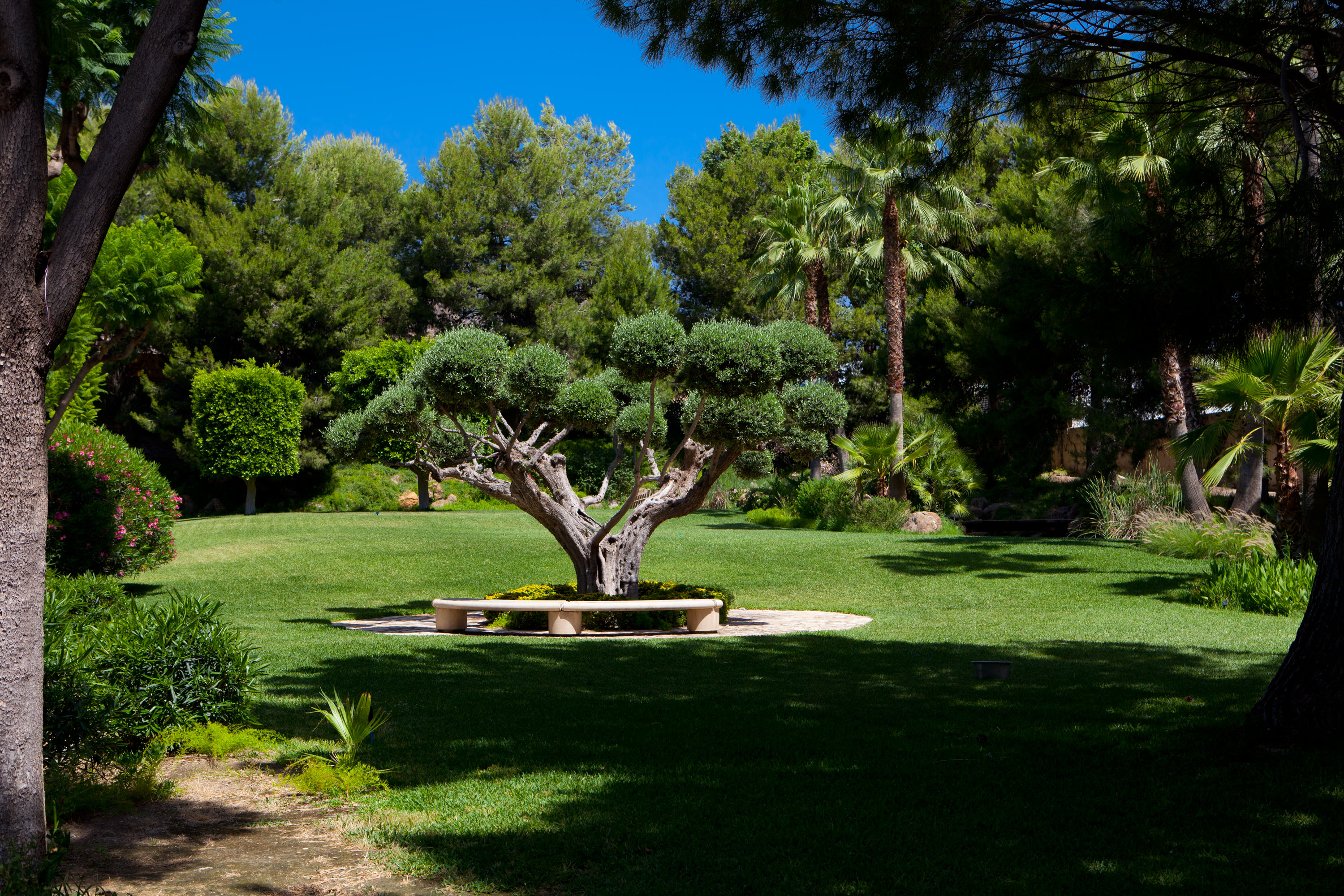 Hotel Spa Amaltea